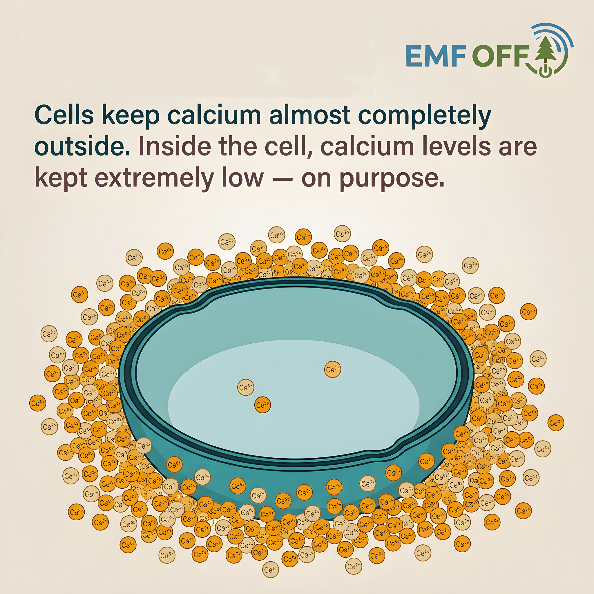 Some people get sick in modern wireless environments. And no one knows how to talk about it properly.