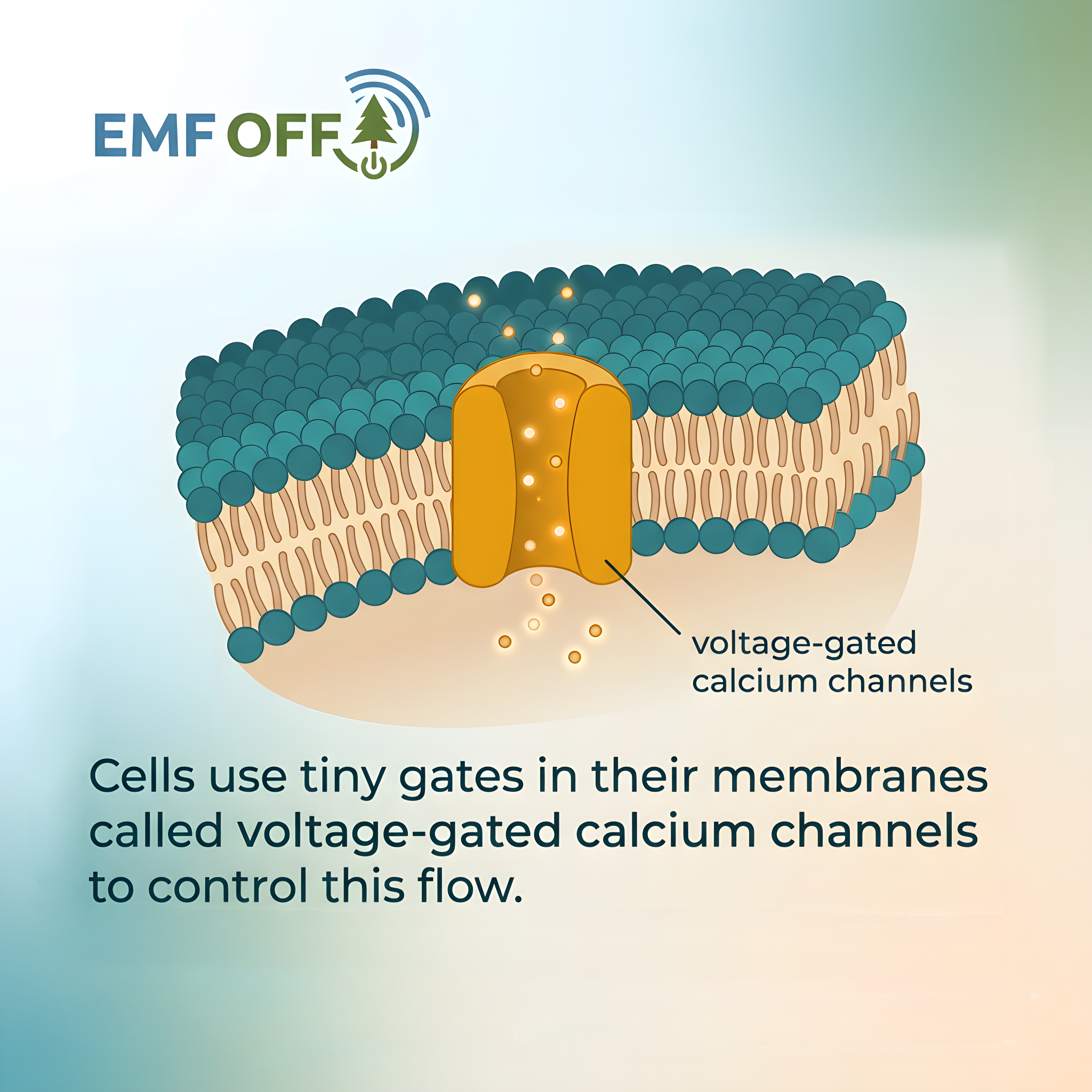 Some people get sick in modern wireless environments. And no one knows how to talk about it properly.