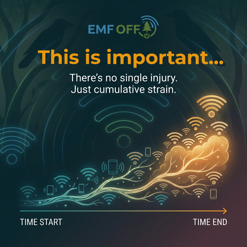 Some people get sick in modern wireless environments. And no one knows how to talk about it properly.