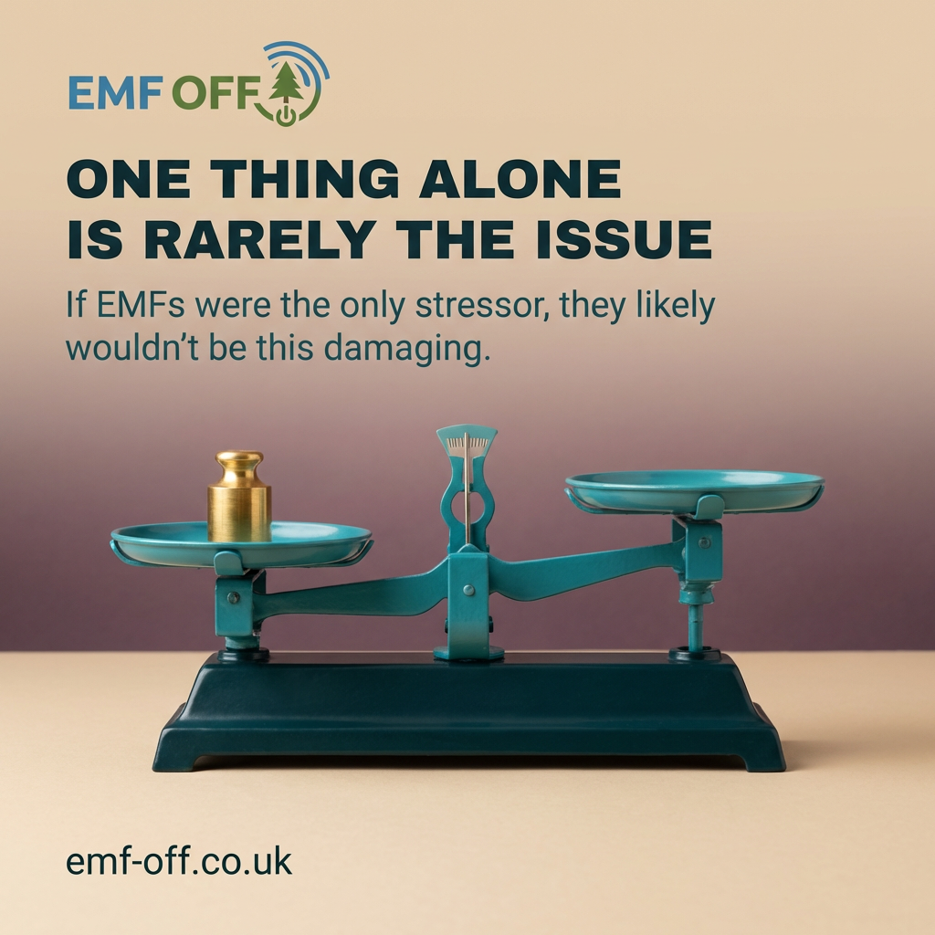 Some people get sick in modern wireless environments. And no one knows how to talk about it properly.